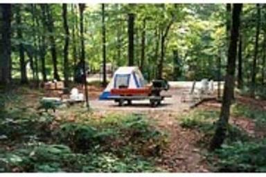 Zilpo - Daniel Boone Nat. For.