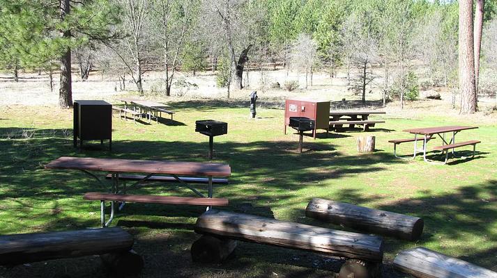 PGS, Loop: AREA PINES GROUP/STANISLAUS