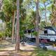 Encore Royal Coachman