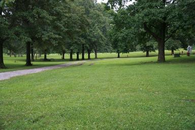 Coy and Wilma's Campsites and Cabins