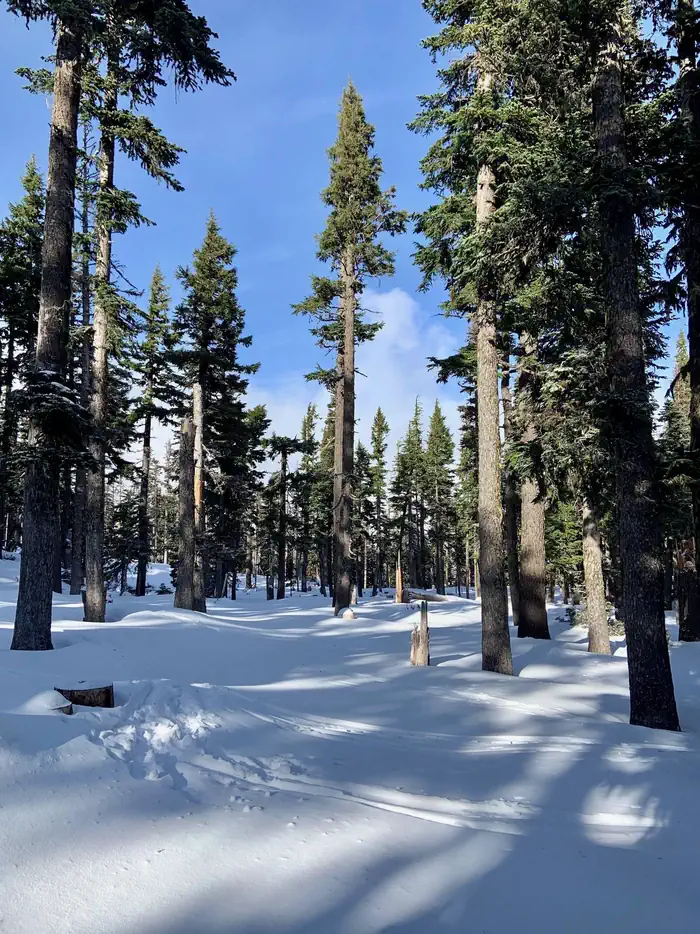 Tilly Jane Guard Station