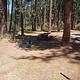 A pine-laden single campsite in the woods.