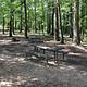 Picnic tables sitting under a shaded forest.