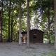 Shows a group of rustic cabins among trees—useful to represent the property’s cabin accommodations; from the Rustic Cabins page context.