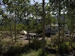 Bowery Creek