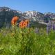 Campspot slideshow image 1
