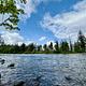 Santiam River steelhead fishing spot