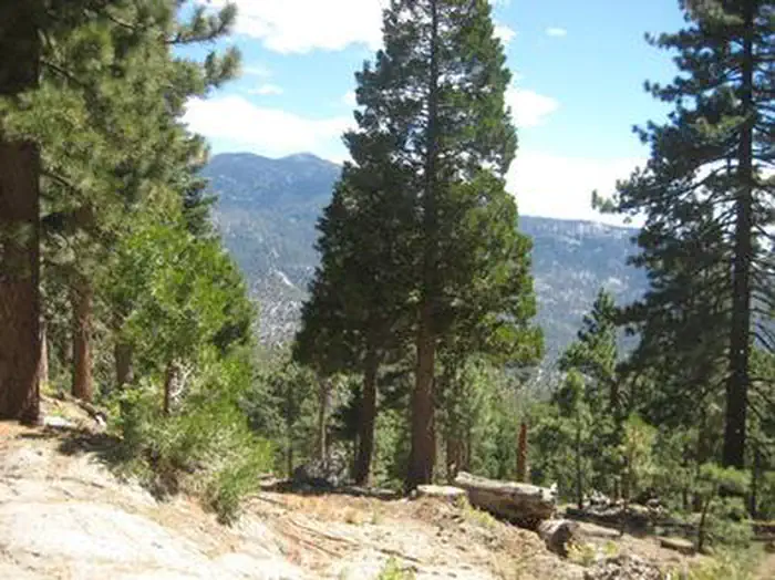 Black Mountain (San Bernardino)