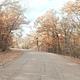 Entry road to Redbud Bay Campground in the fall