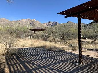 Sabino Canyon Recreation Area Cactus Ramada 1