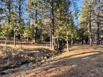 Trailer Lane Campground