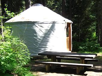 Whitetail Yurt