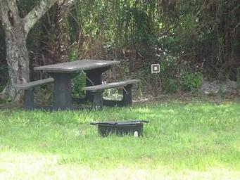 Pinecrest Campsite