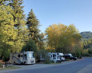 Giant Redwoods RV & Cabin Destination