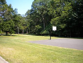 Left side of a basketball court showing a hoop, with trees in the background.  