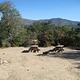 Scenic view of Picnic Tables & Fire Ring at North Shore Campground