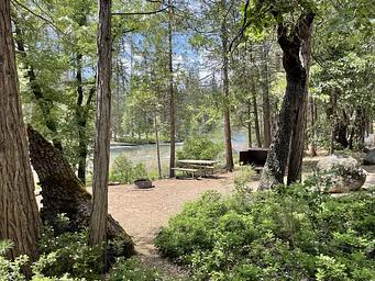 Wawona campsite along the river