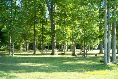Lazy A Campground