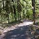 river trail at Fishermen's Bend
