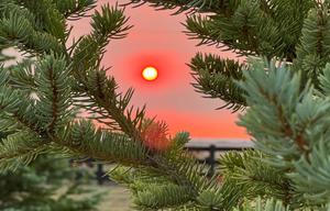 HERO Addition