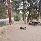 Campsite on the Crooked River at Cobble Rock Campground