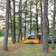 Tent camping scene among tall trees with a cleared grassy area — useful example of tent sites and wooded scenery on the campground, from the property’s ways-to-stay images.