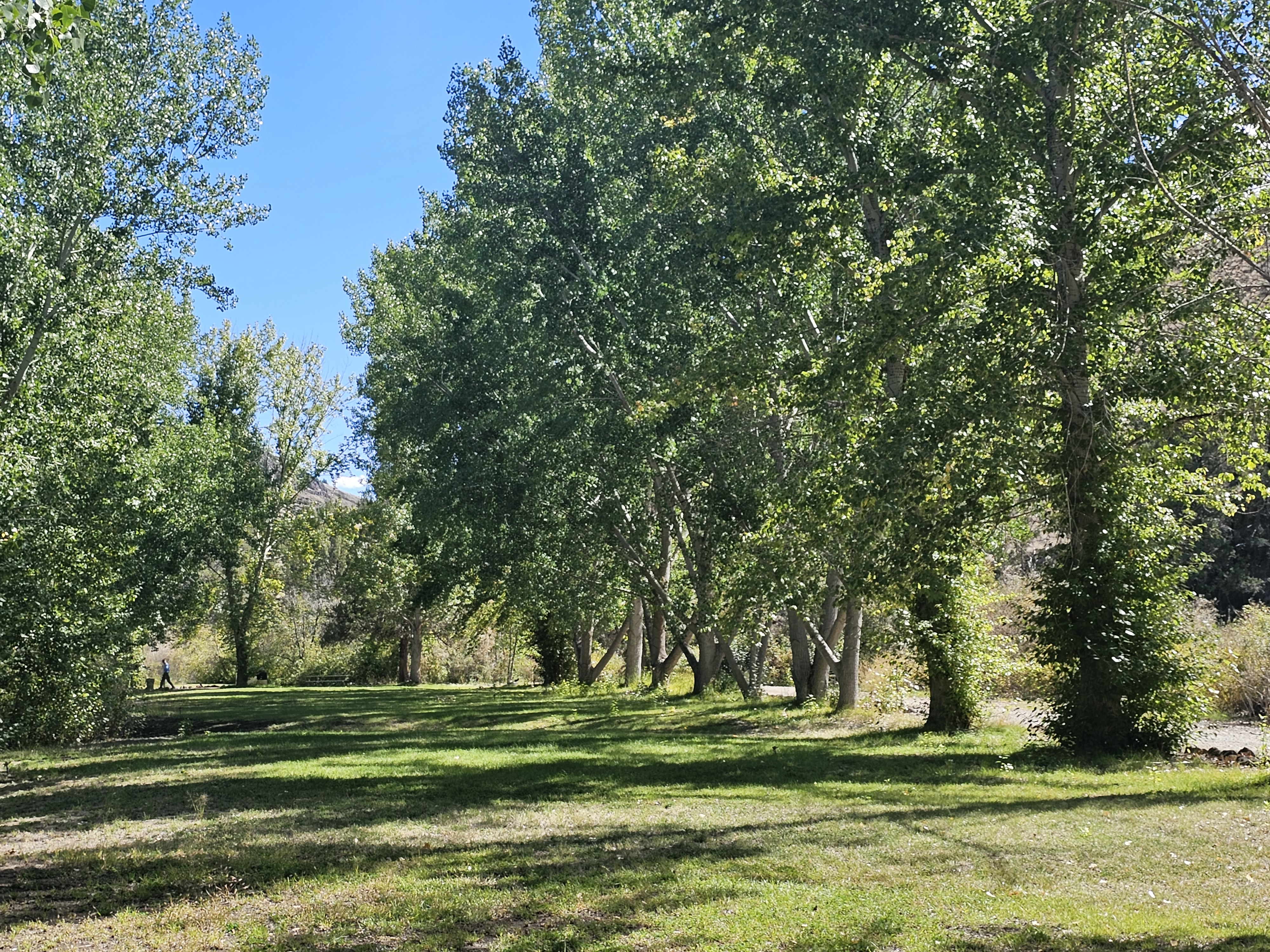 Chukar Park Campground