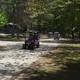 Dirt road through wooded campsite with off‑road vehicles and RVs visible — good depiction of campground lanes, trees, and site layout; comes from the Activities page for this property.