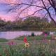 Campspot slideshow image 5