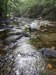 Jacobs Brook Campground