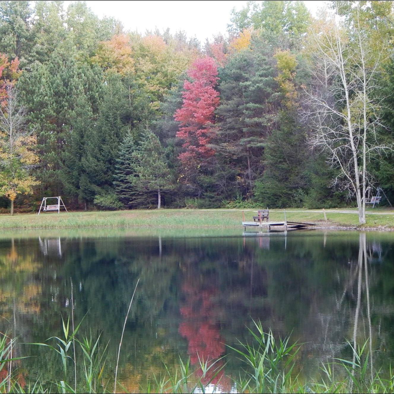 Berwagana Campground