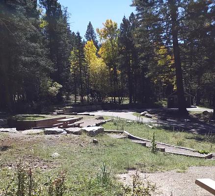 1, Loop: ASPEN