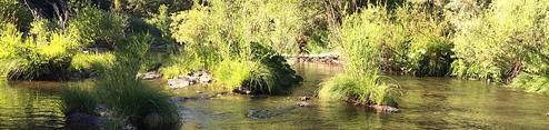 Spanish Creek Campground