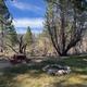 Campsite/picnic area: shows a picnic table and fire ring beside trees and low brush — representative campsite on the property (from 'General 2' gallery).