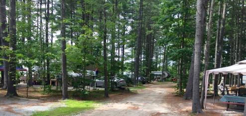 Pathway view into the campground showing campsites and surrounding trees — good for illustrating overall circulation and wooded setting.
