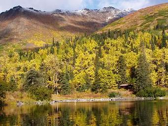 WEST SWAN LAKE CABIN2