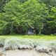 Brown cabin surrounded by green trees
