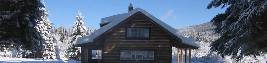 001, Loop: UPPER FORD CABIN RENTAL