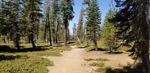 Pioneer RV Park