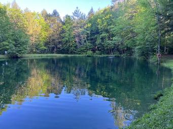 Scenic pond view with tree-lined shore and reflections — highlights the campground's water feature and natural setting (from Amenities page).