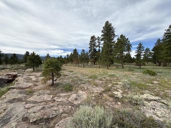 Surrounding Area