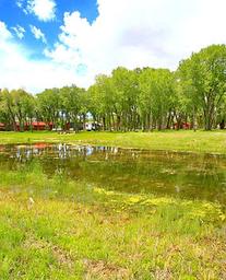 The Longhorn Ranch Resort Lodge & RV Park