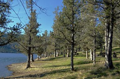 Campground image 2