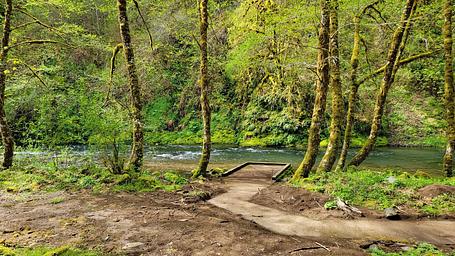 Alder Glen Recreation Site