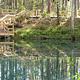 Campground image 3