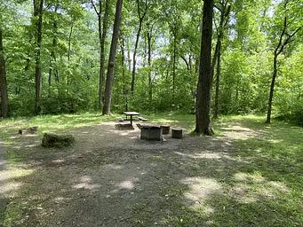 A open campsite with fire grill, picnic table, and rock barriers in the foreground and green vegatation background. 