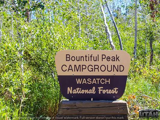 GROUP, Loop: BOUNTIFUL PEAK GROUP