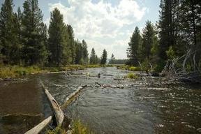 Cow Meadow Campground