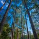Campspot slideshow image 3
