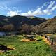 Campsite along the Deschutes River at Rattlesnake Canyon Campground